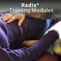 Radix Training Workshops
